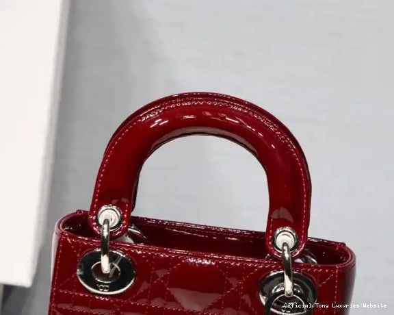 Tony Luxuries Cow patent With Lady Mini diro leather 0606